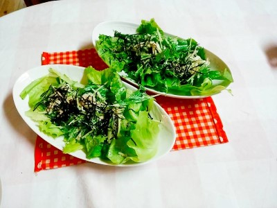 大根＆水菜のシーチキンサラダ